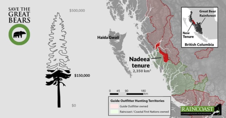 On our way to securing the Nadeea tenure