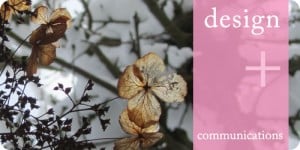 Snow day in Victoria Snow day in Victoria