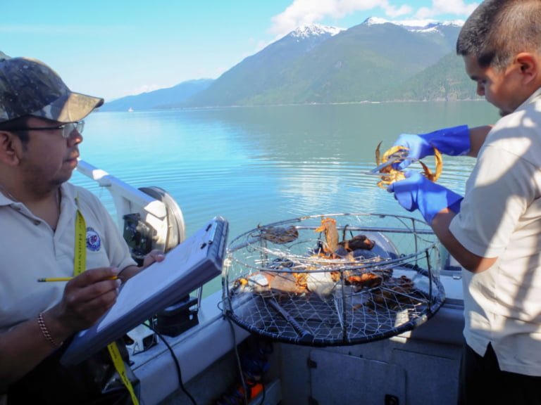 Science and traditional knowledge synergy