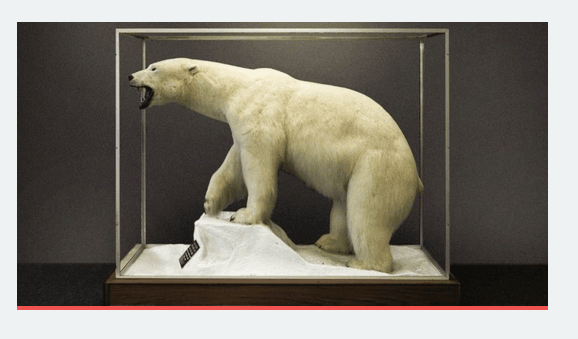 Wild Ones Live: Nature Needs People