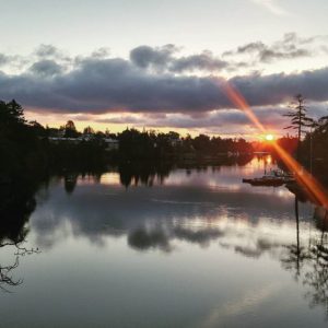 Sunshine! And more of it also