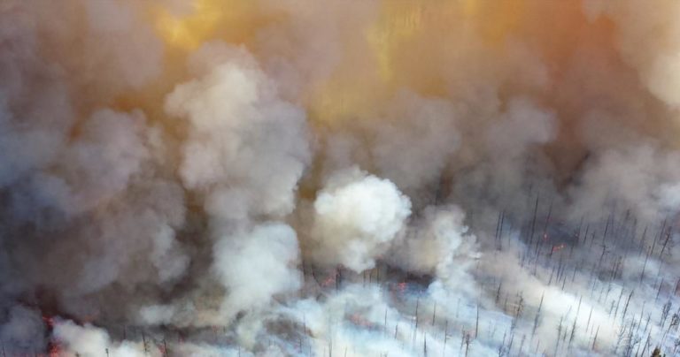 Climate Change Impacts on Human Health: What are the Health Costs of Wildfires?