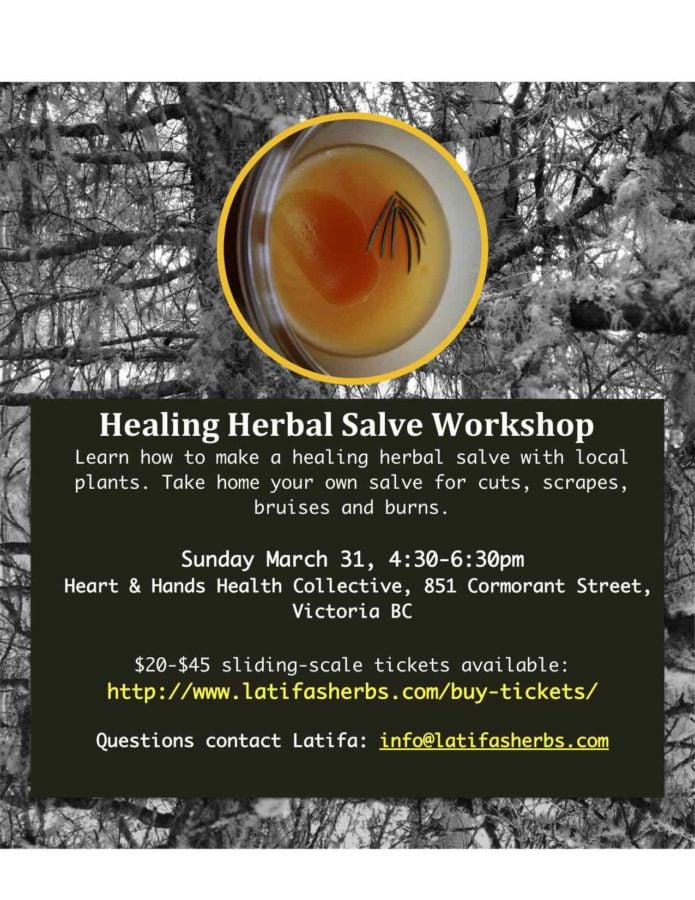 Healing Salve Workshop