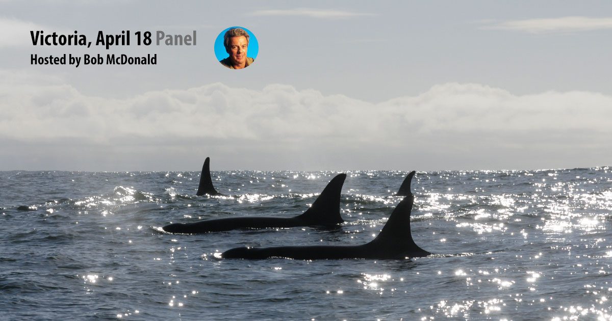 Panel: the future of Killer Whale recovery