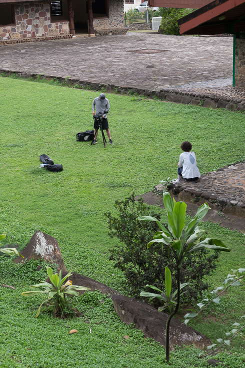 Field Work