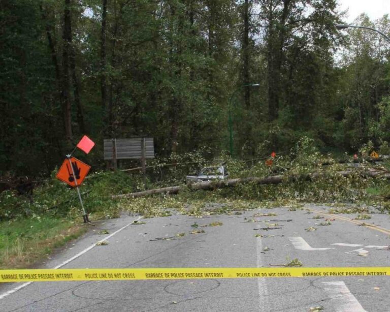Climate Impacts Have Multiple Causes