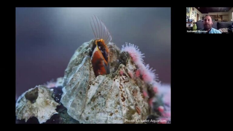 Inspecting the Intertidal episode 9