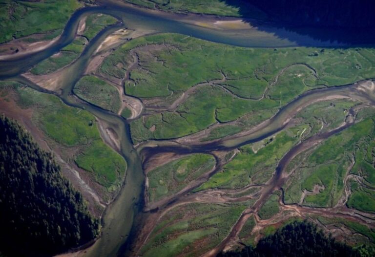 Observed Climate Change Trends in British Columbia