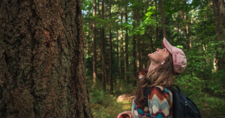 Re: The Pender Islands Big Tree Registry Update
