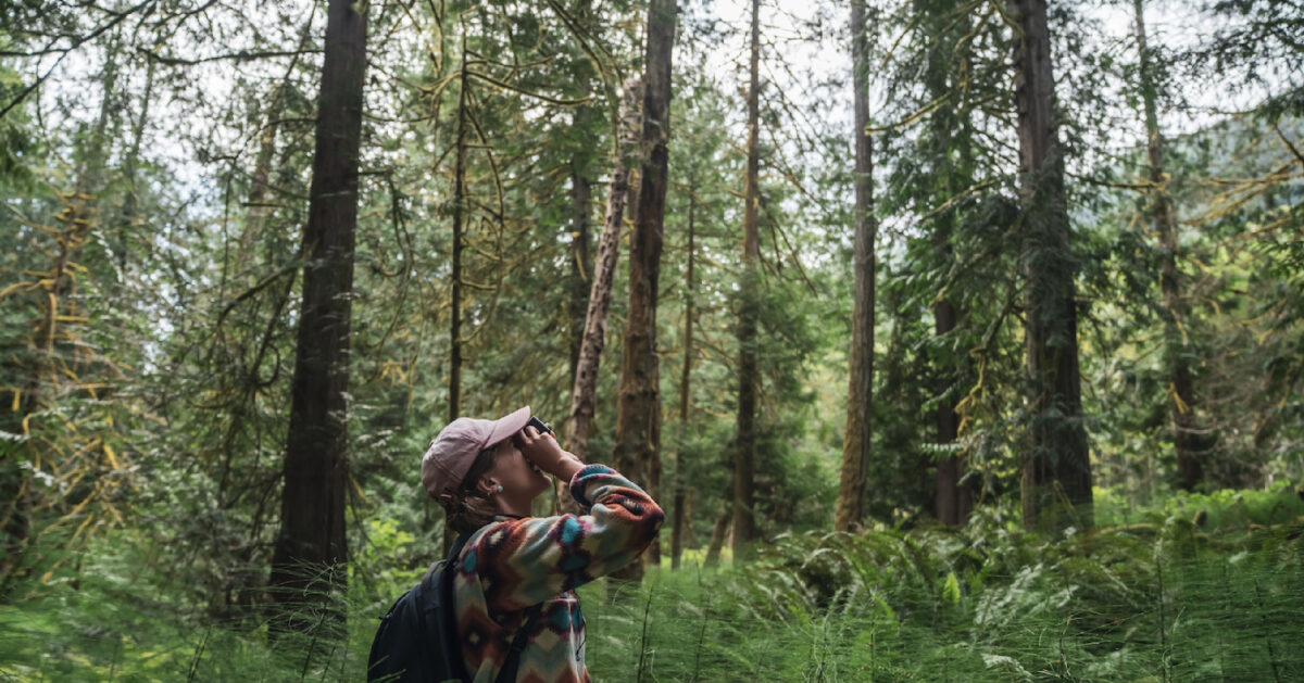 measuring tree heights with lasers