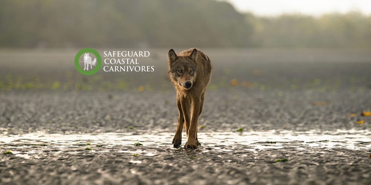 safeguard coastal carnivores