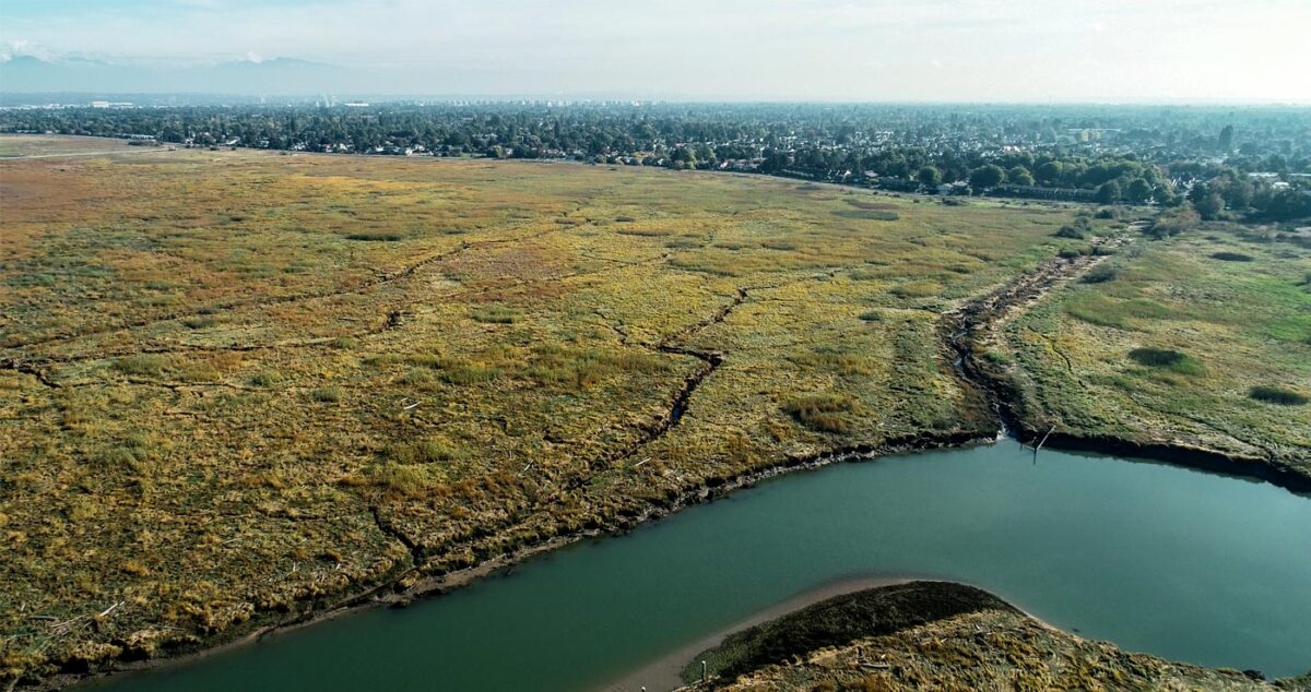 watersheds 2020 forum some lessons from the lower fraser river