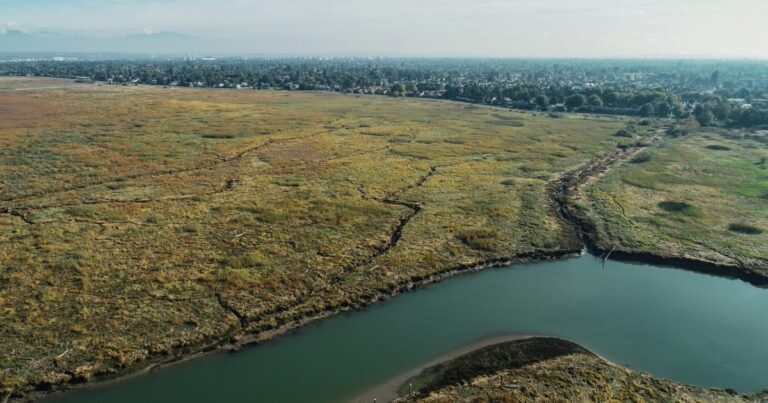 Seven years in the Lower Fraser