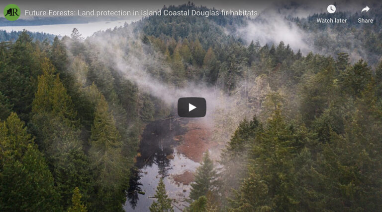 Future forests: land protection in island Coastal Douglas-fir habitats