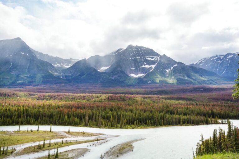 Solutionogenics, Peace Athabasca Delta Institute Governance Structure, 2020