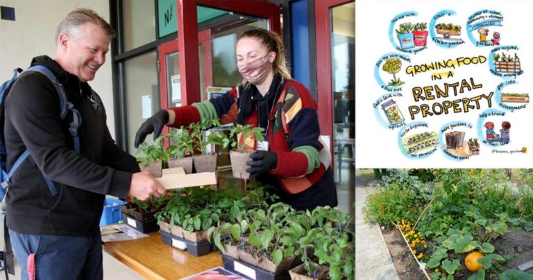 Growing Resilience Through Food!