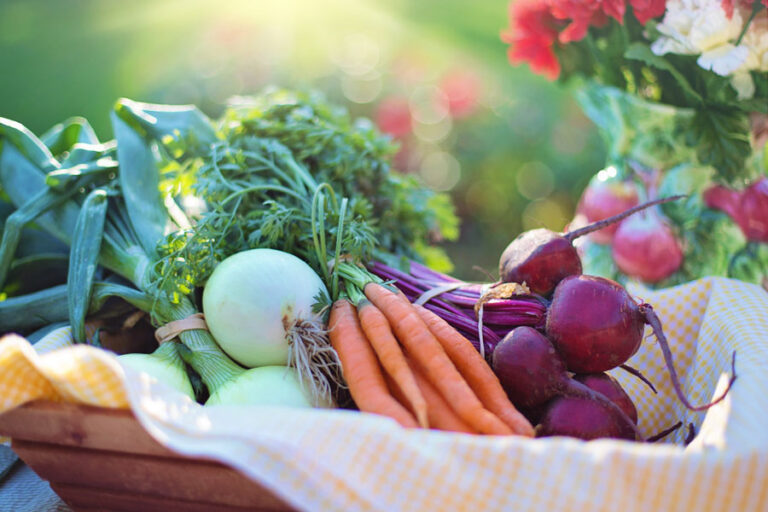 Vancouver Coastal Health Authority, Evaluation of the Community Food Action Initiative, 2018