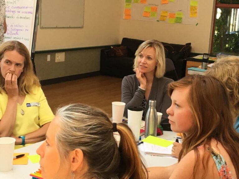 Taking Stock, Shared Learning & Practice with Multi-Sector Collaboration and Collective Impact – Convening, Facilitation & Sensemaking, 2017 – 2018