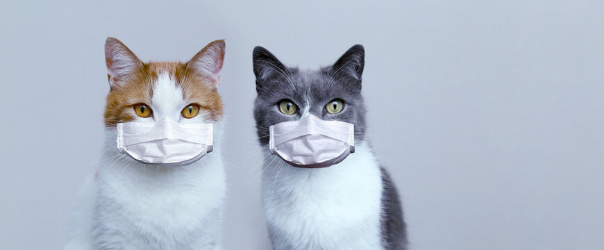 continuing our mask wearing policy for community acupuncture