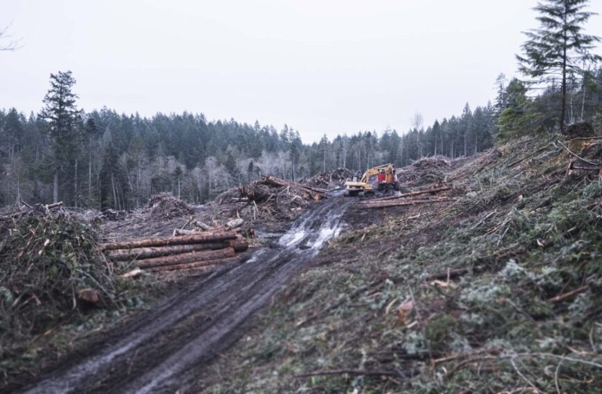 cumulative impacts a serious problem for gulf islands forests