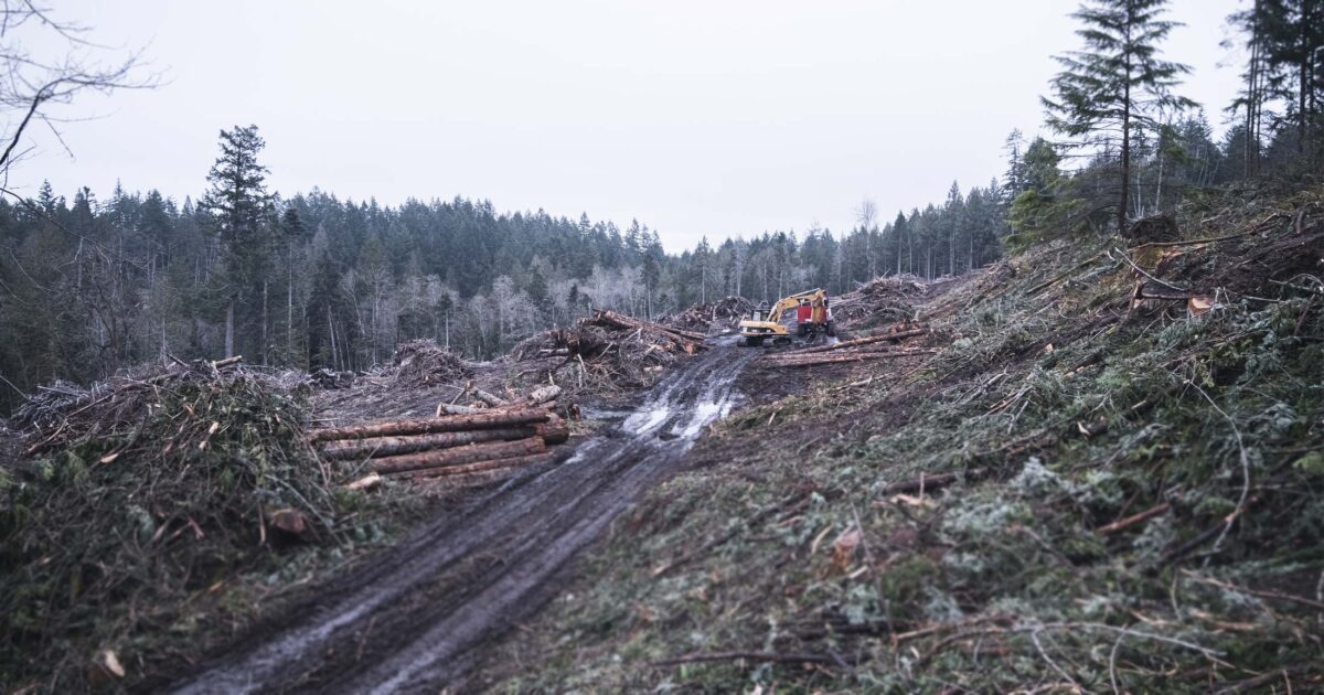 cumulative impacts a serious problem for gulf islands forests