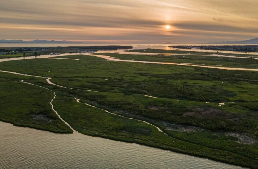 cycles seasons and sediment of the fraser estuary