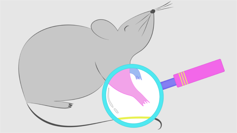 Ologies podcast and the art of interviewing Ologies podcast and the art of interviewing