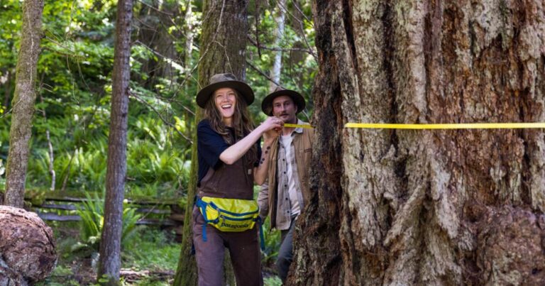 Big Tree Registries of the Pacific Northwest and beyond