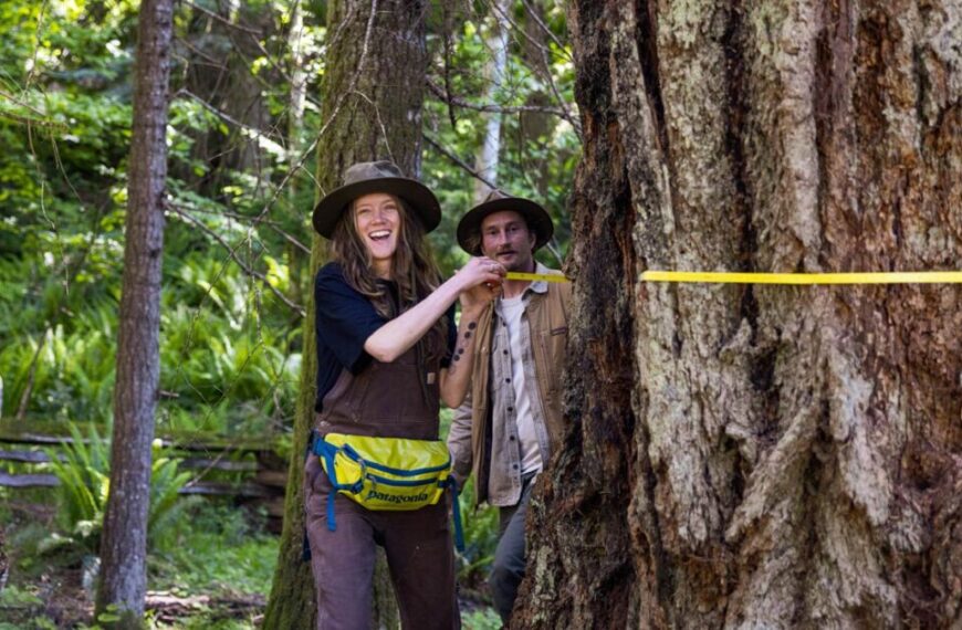 big tree registries of the pacific northwest and beyond