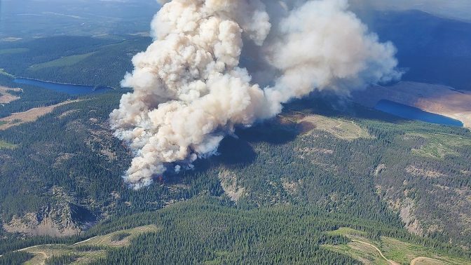 Community Acupuncture Fundraiser: Red Cross 2021 BC Wildfire Response