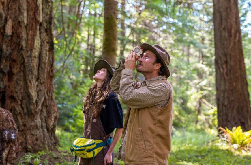 measuring trees introducing our new how to video series