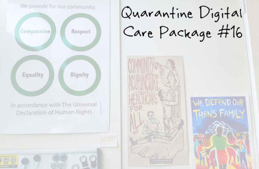quarantine digital care package 16