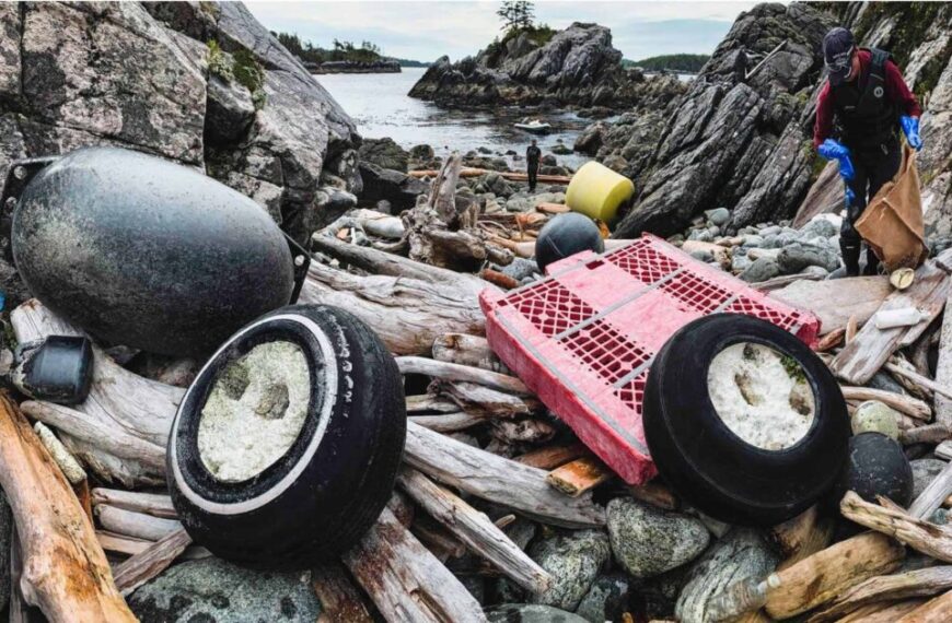 the great beach cleanup