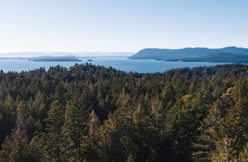 webinar tree protection in the islands trust