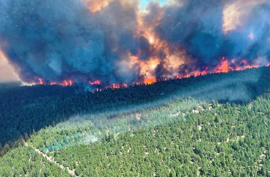 An aerial view of a forest fire.