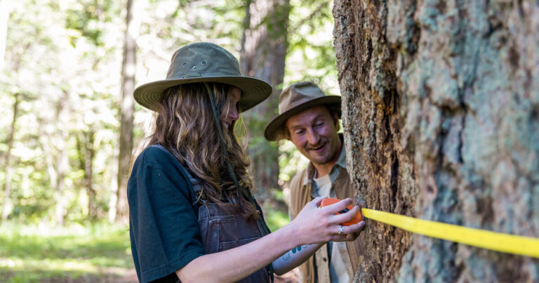 Interview: Big tree registries, BC’s logging practices and Nerdy about Nature