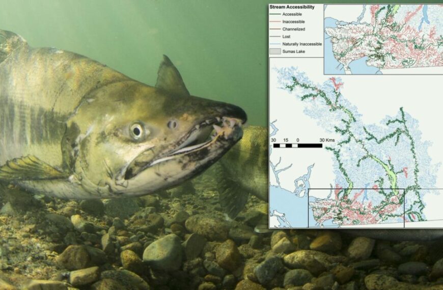 An image of a salmon and a map of the area.