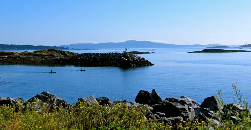 A view of a body of water with rocks and flowers.