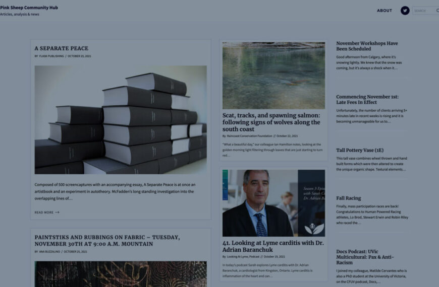 A screen shot of a magazine website.