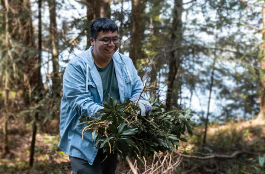 A man is holding a bunch of leaves in the woods.