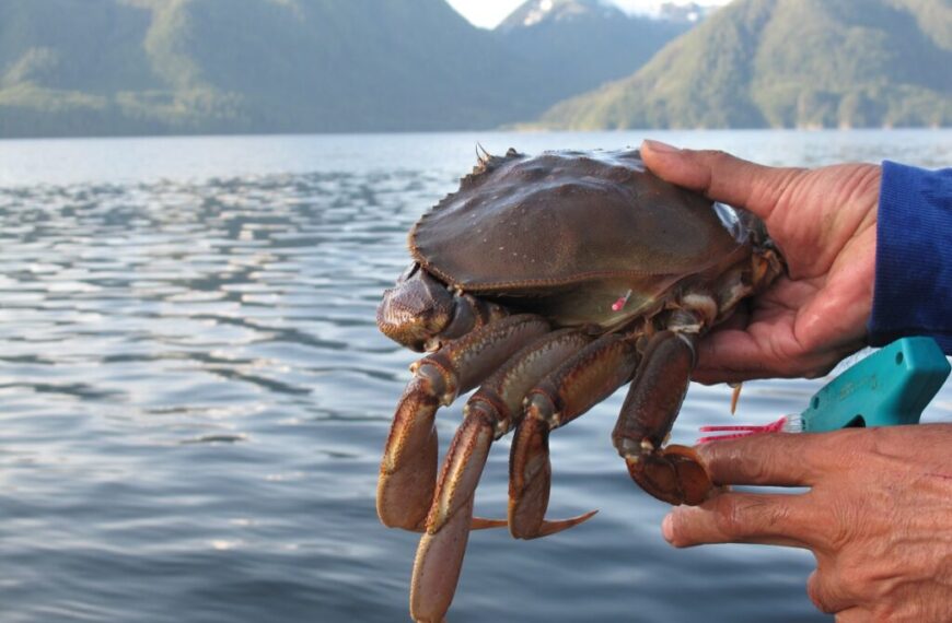 A person holding a large crab in front of a body of water.