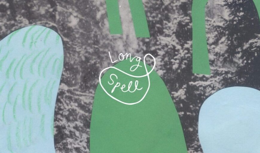 A drawing of a tree with the words'love' written on it.
