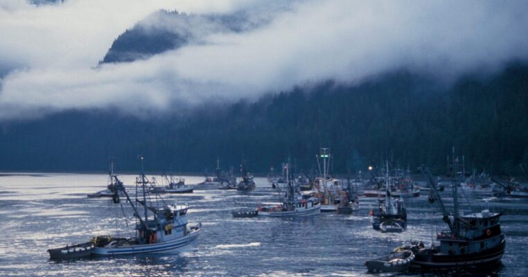 Impacts of Alaskan interception fisheries on Canadian and Southern U.S. salmon and steelhead