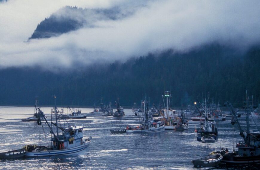 Fishing boats docked in a body of water with mountains in the background.