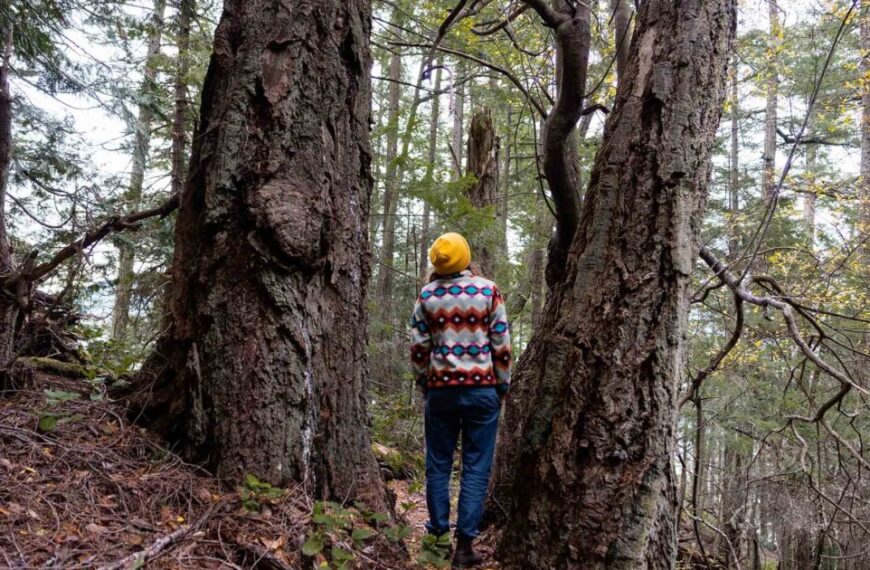 A woman in a yellow sweater is standing in a wooded area.