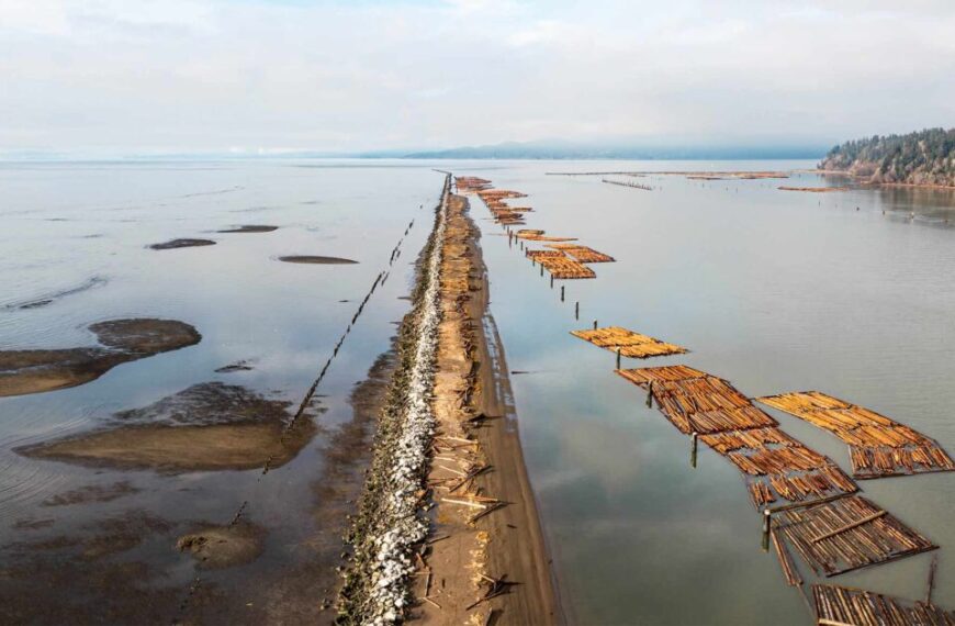 An aerial view of a group of wooden logs in the water.