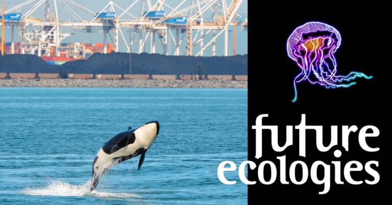 Future Ecologies podcast dives into the Terminal 2 expansion project Future Ecologies podcast dives into the Terminal 2 expansion project