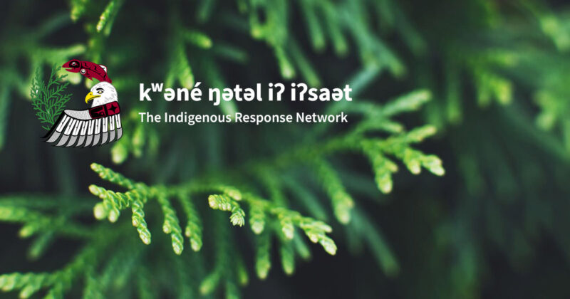 An image of a pine tree with the words          .