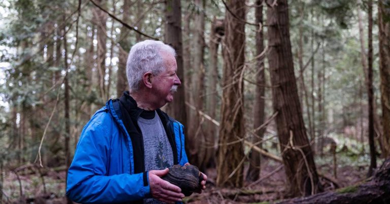 The story of Coastal Douglas-fir forests: The intrinsic value of forests