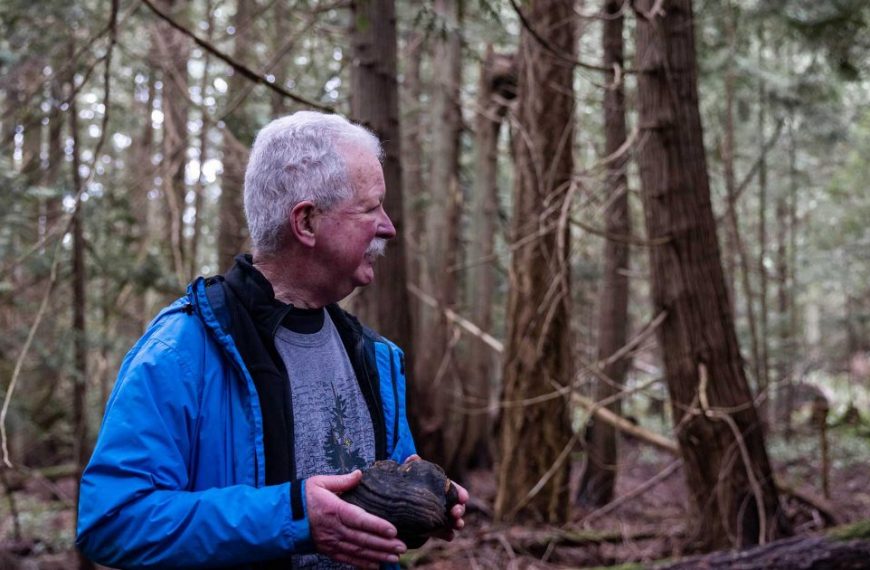 A man in a blue jacket standing in a wooded area.